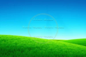 4cP000578