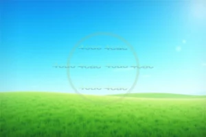 4cP000579