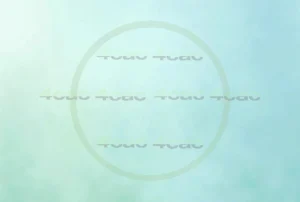 4cP000976