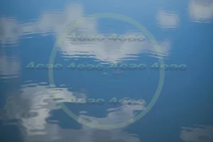 写真素材集　素材ID:4cP002117