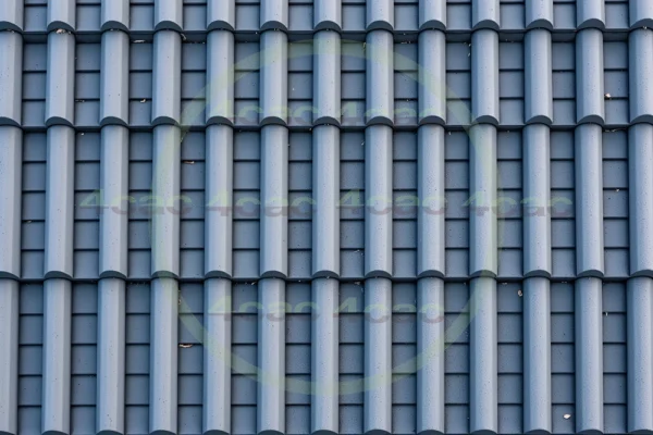 写真素材集　素材ID:4cP002173