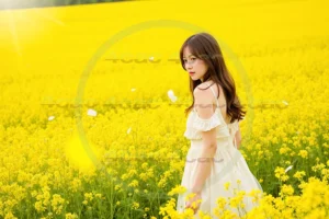 写真素材集　素材ID:4cP002181