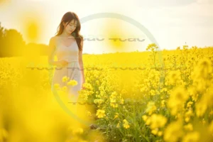 写真素材集　素材ID:4cP002182