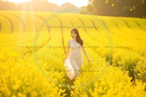 写真素材集　素材ID:4cP002183