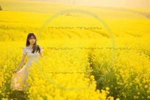 写真素材集　素材ID:4cP002184