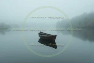 写真素材集　素材ID:4cP002363