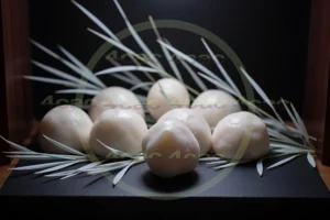 写真素材集　素材ID:4cP002571