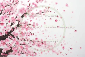 写真素材集　素材ID:4cP002899