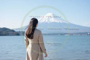 写真素材集　素材ID:4cP003141