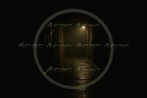 写真素材集　素材ID:4cP003571
