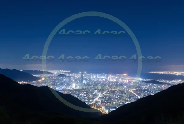 写真素材集　素材ID:4cP003660