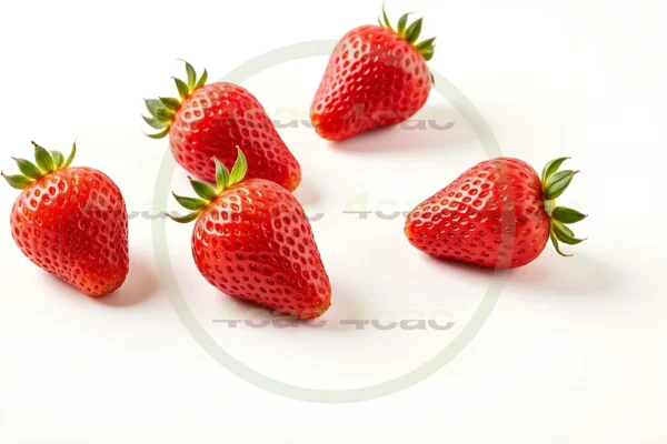 写真素材集　素材ID:4cP003763