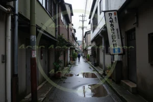 写真素材集　素材ID:4cP004019