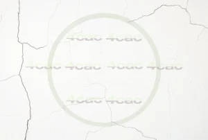 写真素材集　素材ID:4cP004565