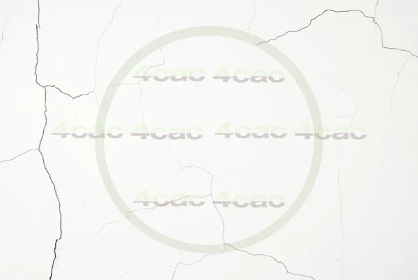 写真素材集　素材ID:4cP004565