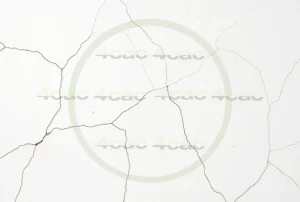 写真素材集　素材ID:4cP004566