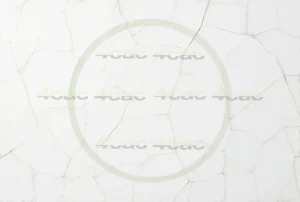 写真素材集　素材ID:4cP004567