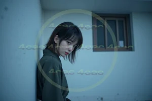 写真素材集　素材ID:4cP004684