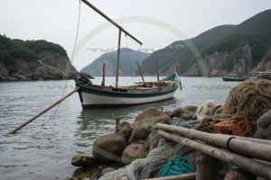 写真素材集　素材ID:4cP004923