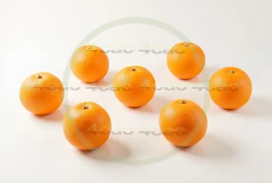 写真素材集　素材ID:4cP005226