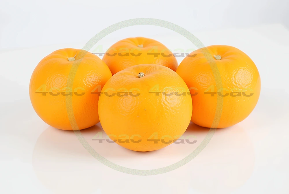 写真素材集　素材ID:4cP005227