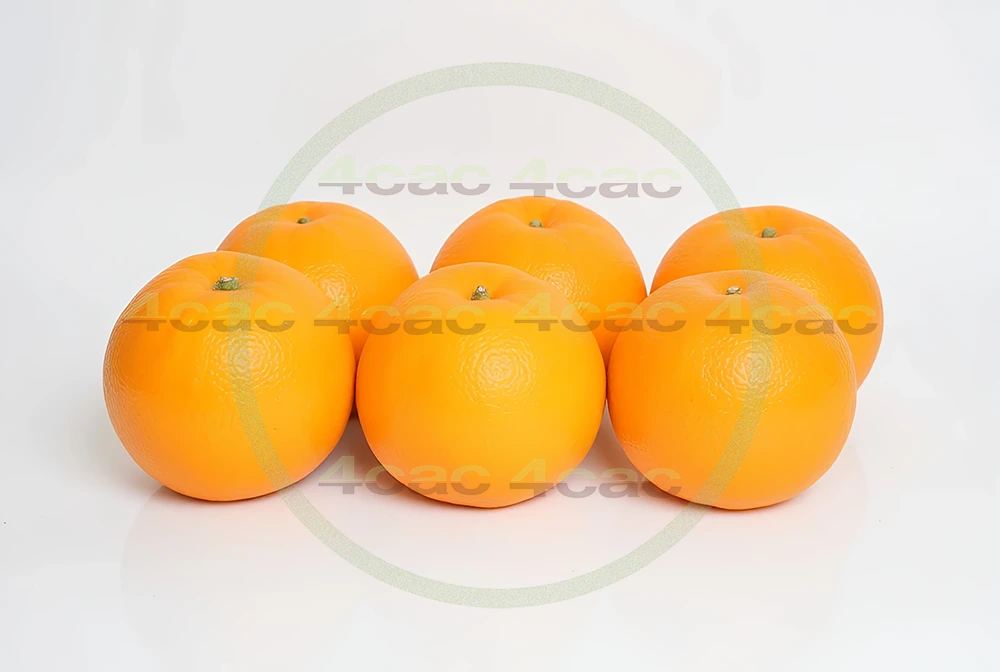 写真素材集　素材ID:4cP005228