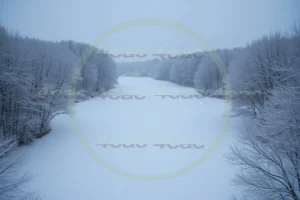 webp写真素材集4cac 4cP006607