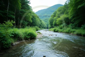webp写真素材集4cac 4cP006738