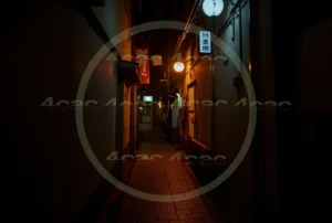 webp写真素材集4cac 4cP006752