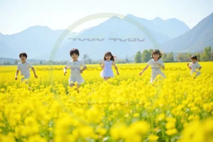 webp写真素材集4cac 4cP007281