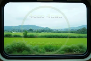 webp写真素材集4cac 4cP007382