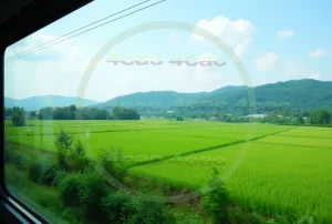 webp写真素材集4cac 4cP007385