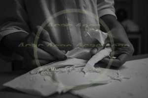 4cP008401