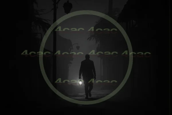 4cP008433