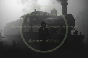 4cP008753