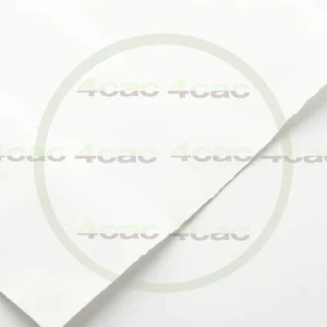 4cP000006AI生成素材