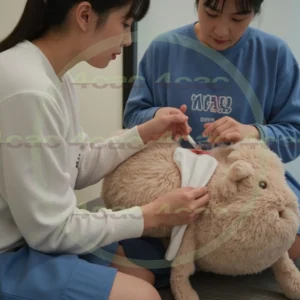 4cP000852AI生成素材