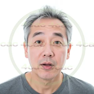 4cP001776AI生成素材