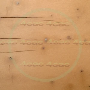 4cP002090AI生成素材