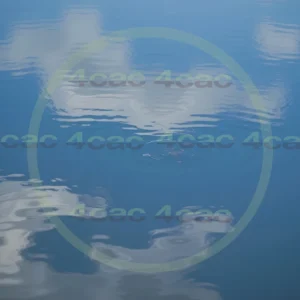 4cP002117AI生成素材