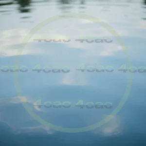 4cP002118AI生成素材