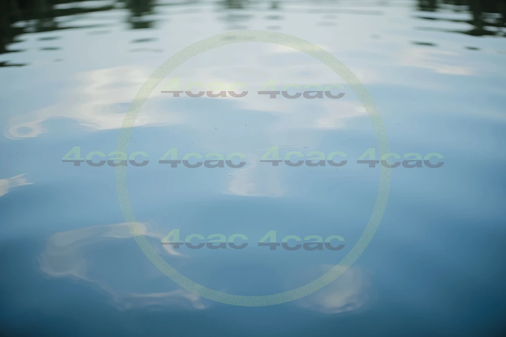 4cP002118AI生成素材