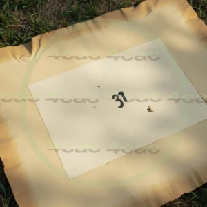 4cP002121AI生成素材