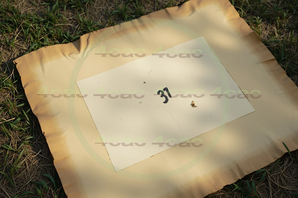 4cP002121AI生成素材