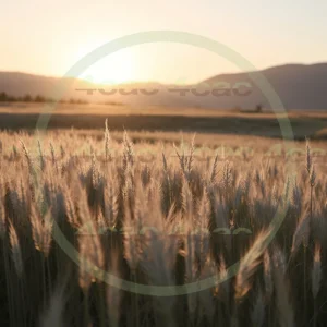 4cP002367AI生成素材