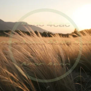 4cP002369AI生成素材