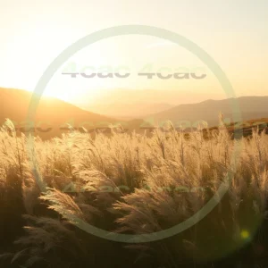 4cP002370AI生成素材