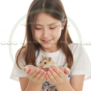 4cP002510AI生成素材