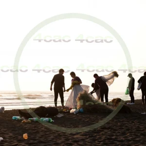 4cP003231AI生成素材