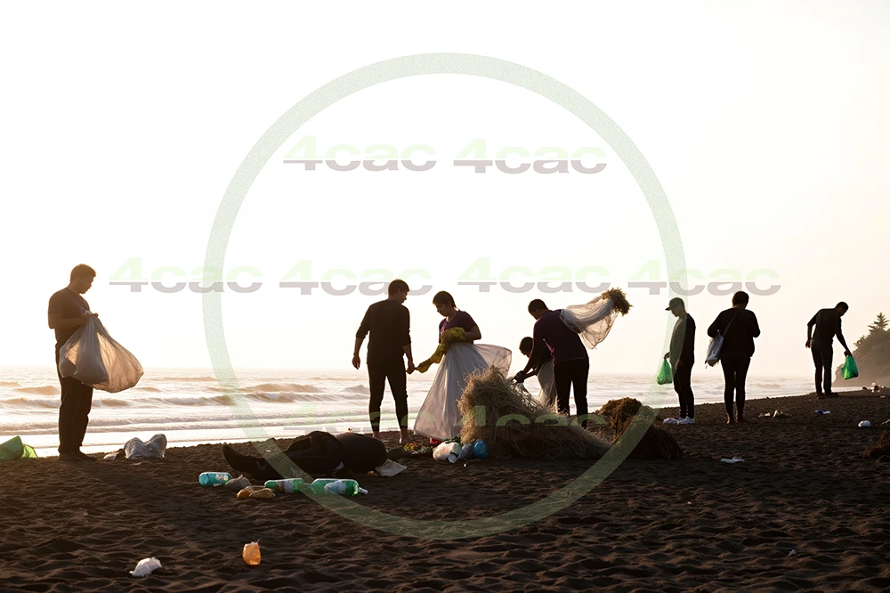 4cP003231AI生成素材